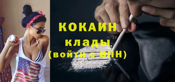 прущие грибы Новозыбков