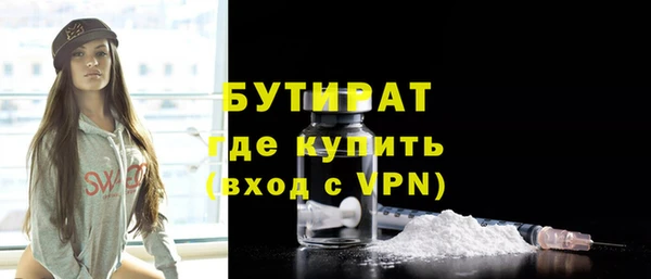 прущие грибы Новозыбков