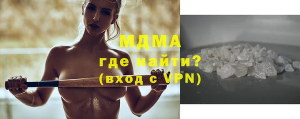 прущие грибы Новозыбков