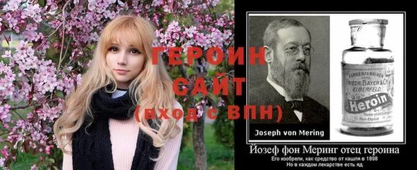прущие грибы Новозыбков