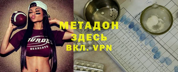 прущие грибы Новозыбков