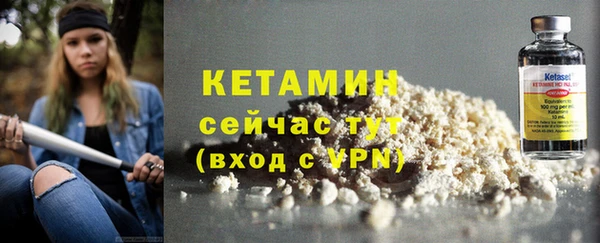 прущие грибы Новозыбков