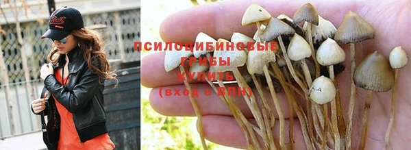 марки nbome Новокубанск