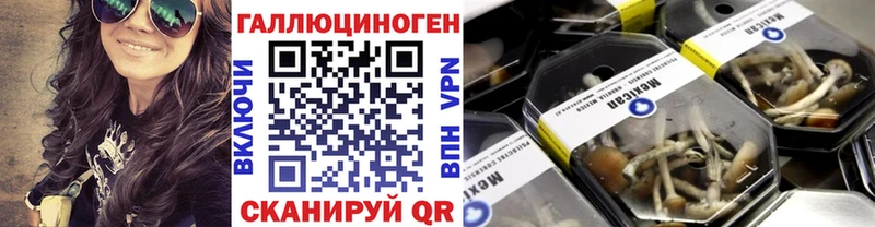 Галлюциногенные грибы GOLDEN TEACHER  mega как войти  Зеленокумск 