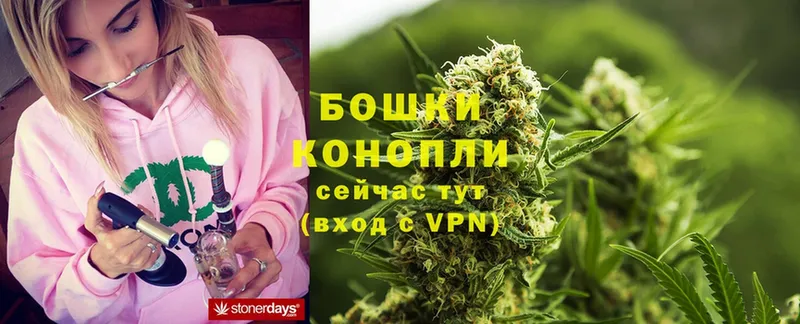 где купить наркотик  Зеленокумск  Бошки марихуана THC 21% 